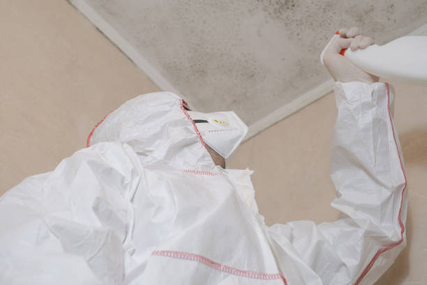 Blossom, TX Mold Removal Company