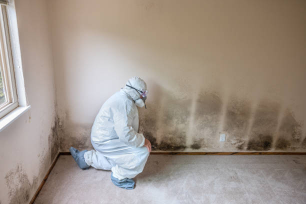 Best Crawl Space Mold Removal  in Blossom, TX