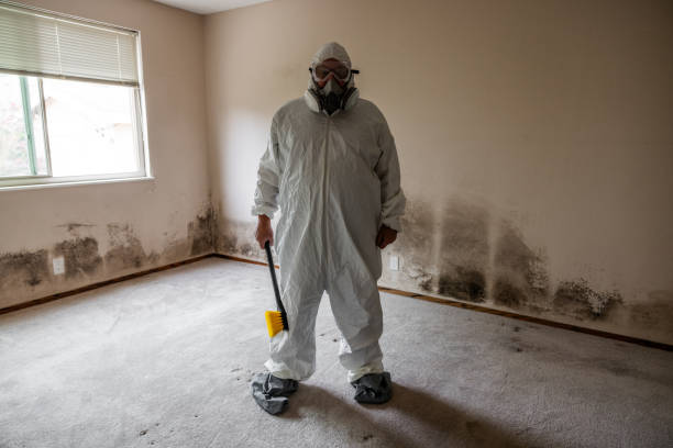 Best Attic Mold Removal  in Blossom, TX